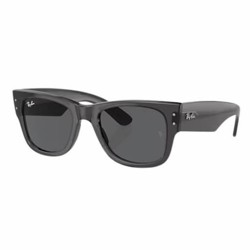 Sunglasses Ray-Ban Mega wayfarer RB0840S 1406/B1 51-21 Transparent Black