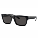 Sunglasses Ray-Ban Warren RB4396 6677/87 54-20 Black
