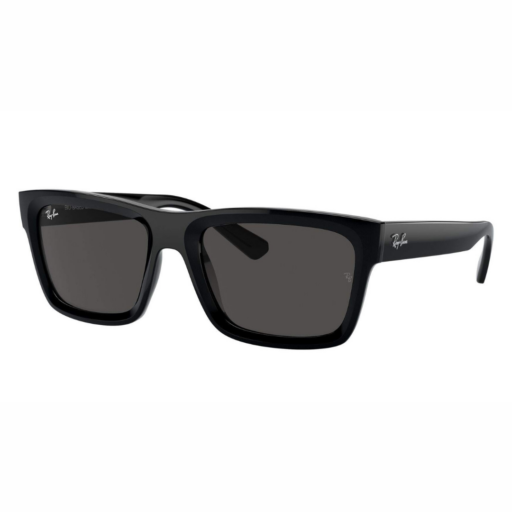 Sunglasses Ray-Ban Warren RB4396 6677/87 54-20 Black